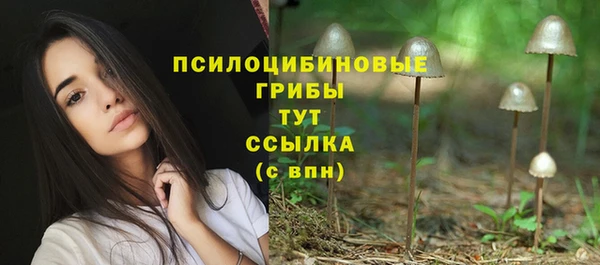 MESCALINE Новозыбков