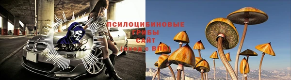 таблы Новодвинск