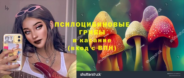MESCALINE Новозыбков