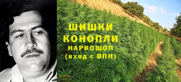 MESCALINE Новозыбков
